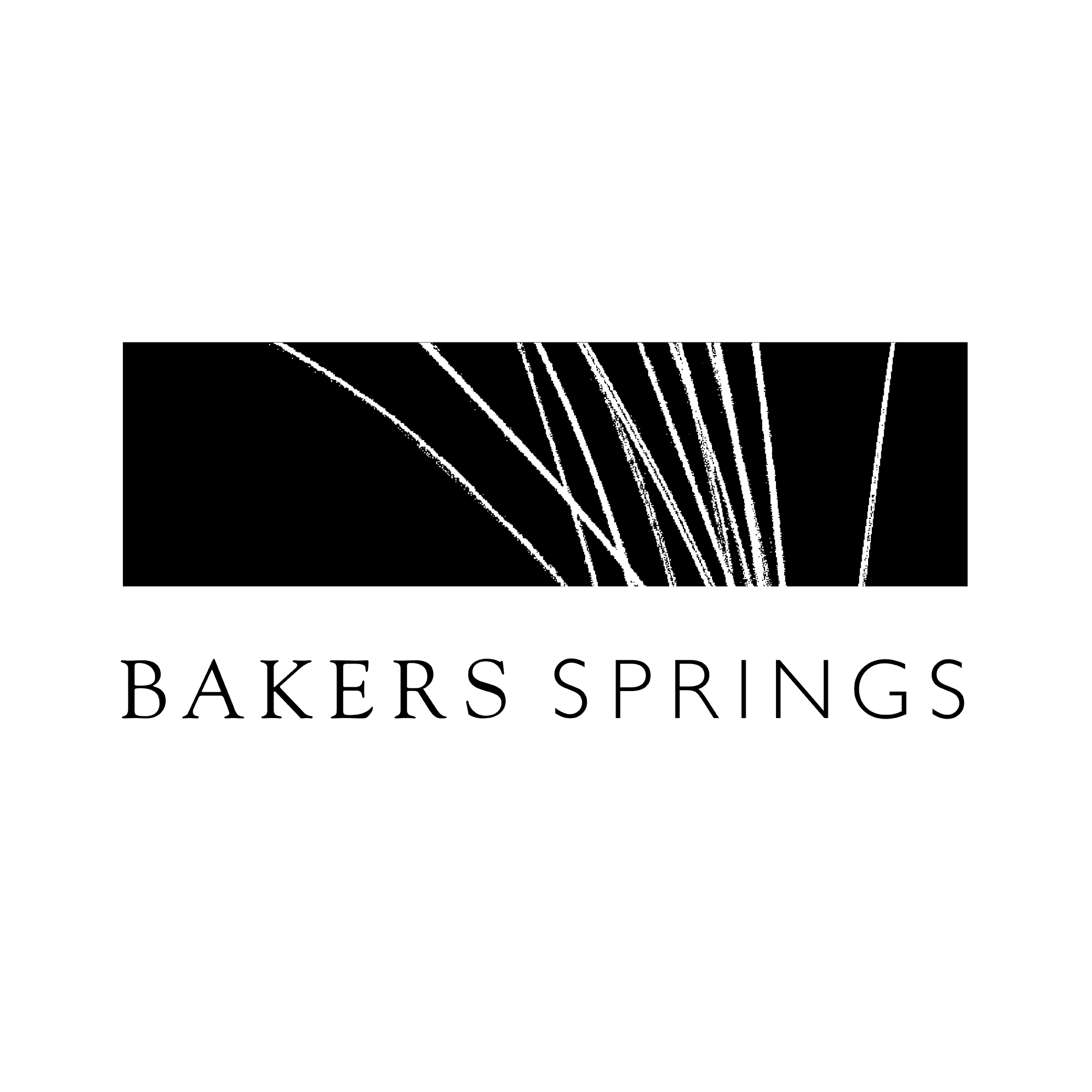 Bakers Springs logo